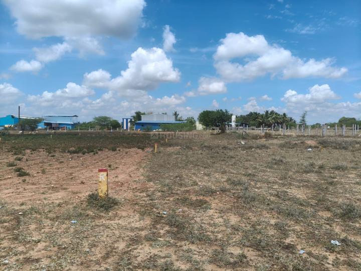 Mandela Nagar Main Image 1