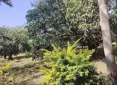 Image of 875000 Sq.ft Residential Plot / Land for sale in Mulbagal, Kolar for Rs. 500000000