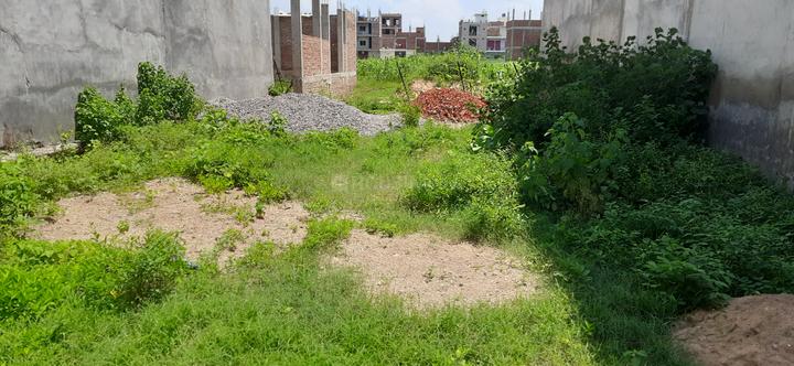 Chakeri Main Image 1