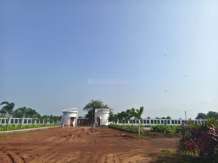 Kapasda Main Image 1