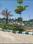 Sitapura Plot View 2