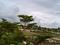 Electricity Board Area Plot View 2