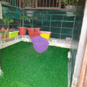 Balcony Image of 650 Sq.ft 1 BHK Apartment / Flat for sale in KCC Engineers Enclave, Kulesara Greater Noida for Rs. 2500000