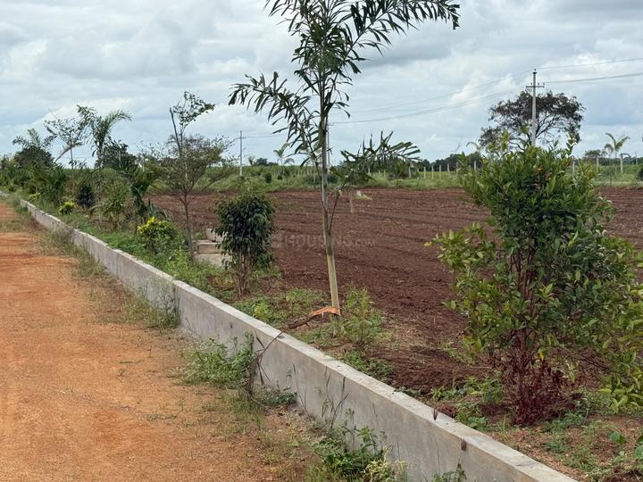 Landlord plot Main Image 1