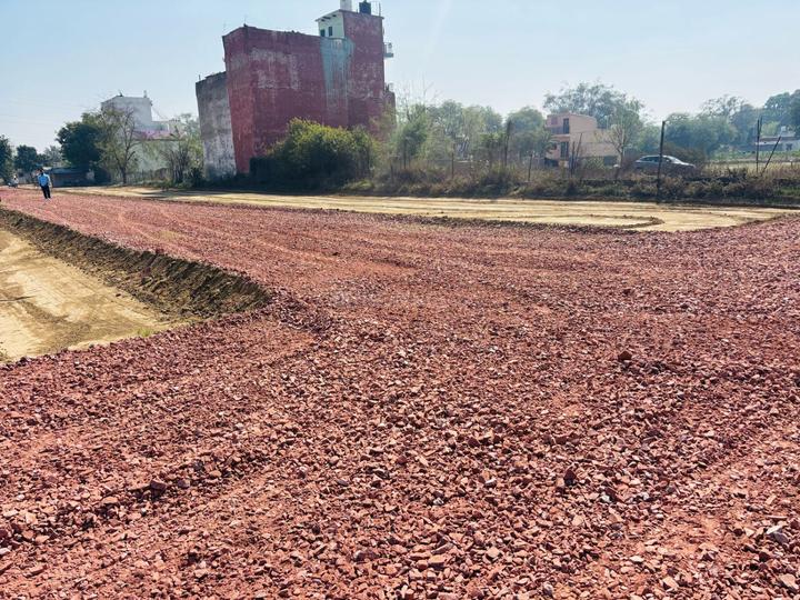 Royal green society Main Image 1