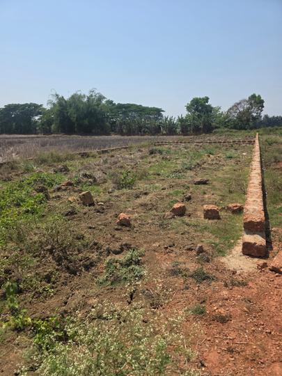 Homestead Plot Main Image 1