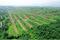 Foothills Of Matheran P 2 Main Image 1