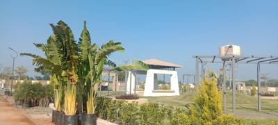 ANMOL ORCHID Plot View 2