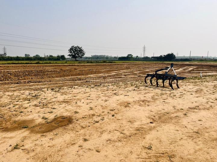 Sky Wood Main Image 1