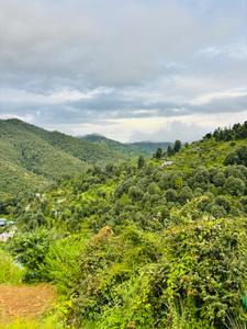 Image of 2400 Sq.ft Residential Plot / Land for sale in Mukteshwar, Nainital for Rs. 15000000