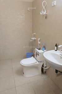 Image of 3767 Sq.ft 9 BHK Builder Floor for rent in Sector 51, Noida for Rs. 135000