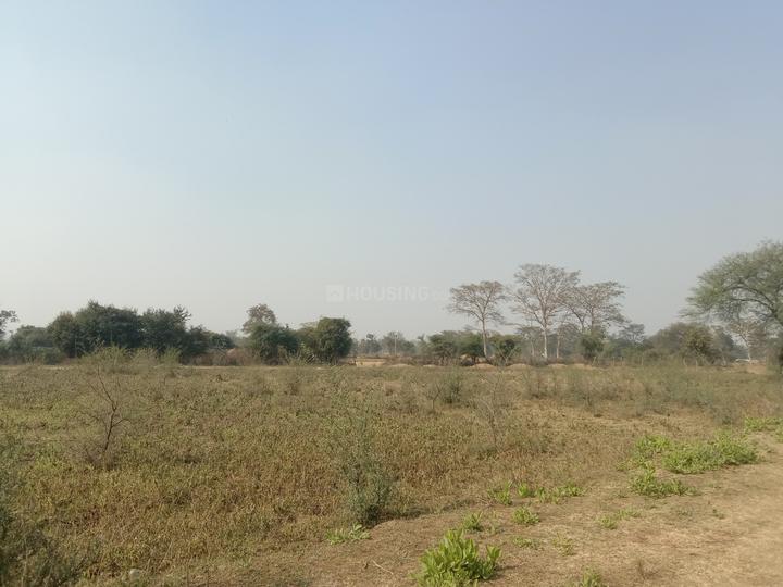 MAHARA Basti Durg Chhattisgarhs  Main Image 1