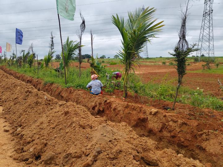 Jadcherla Main Image 1