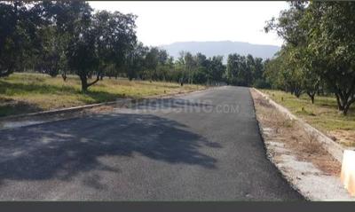 Image of 1456 Sq.ft Residential Plot / Land for sale in Sri Padmavati Mahila Visvavidyalayam, Tirupathi for Rs. 2950000