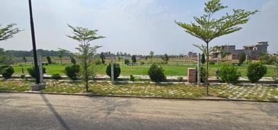 Sector 6 Plot View 1
