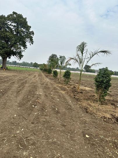 Image of 1000 Sq.ft Residential Plot / Land for sale in Civil Lines, Nagpur for Rs. 1800000