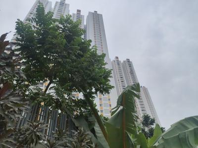 Building Image of 2262 Sq.ft 3 BHK Apartment / Flat for sale in My Home Sayuk, Tellapur Sangareddy for Rs. 24000000