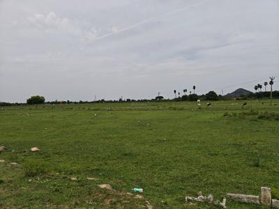 Image of 690 Sq.ft Residential Plot / Land for sale in Singaperumal Koil, Chennai for Rs. 1034312