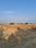 Rohta   Main Image 1