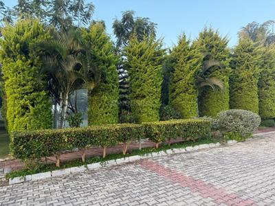 Image of 4079 Sq.ft Residential Plot / Land for sale in Bangarapet, Kolar for Rs. 18000000