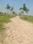 Metroplex City Internal Roads 1