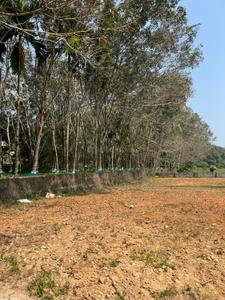 Image of 1740 Sq.ft Residential Plot / Land for sale in Manakkakadav, Kochi for Rs. 3600000