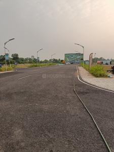 Padur Plot View 2