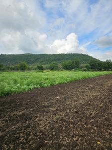 Image of 5500 Sq.ft Residential Plot / Land for sale in Ralamandal, Indore for Rs. 8530500