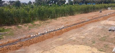 Residential Plot