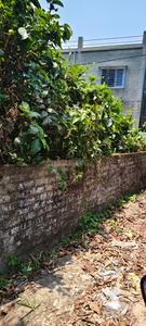 Kodalla Plot View 2