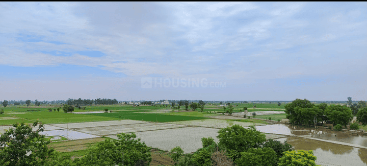Kolar Main Image 1