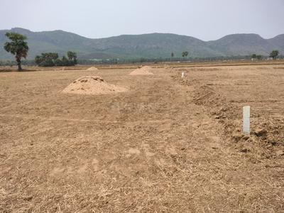 Image of 1200 Sq.ft Residential Plot / Land for sale in Rajgir, Nalanda for Rs. 906000