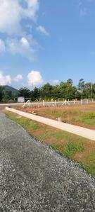 Residential Plot