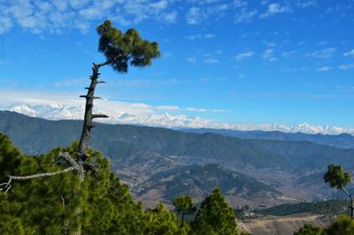 Image of 2160 Sq.ft Residential Plot / Land for sale in Majkhali, Ranikhet for Rs. 3700000