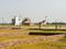 Dharni Defence Paradise Main Image 1