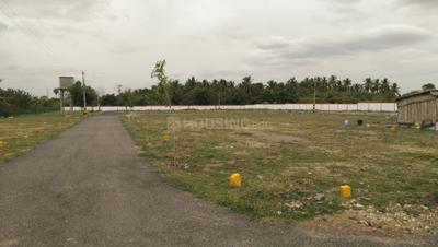 Annur Plot View 3