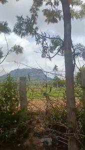 Image of 91476 Sq.ft Residential Plot / Land for sale in Nandi Hills, Chikballapur District for Rs. 126000000