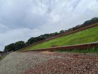 Basani Plot View 2