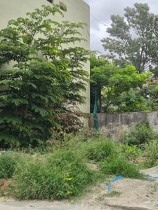 BTM Delite Plot View 1