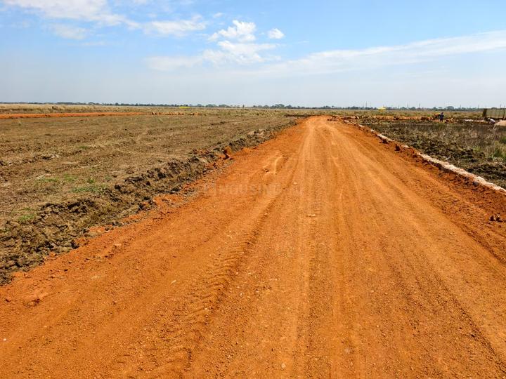 Jamukoli Main Image 1