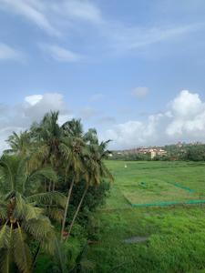Image of 2200 Sq.ft 3 BHK Penthouse for sale in Naroo Palmanova, Panjim, Goa for Rs. 25000000