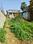 Nalanipam Plot View 2