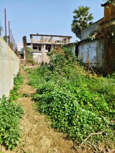 Nalanipam Plot View 2