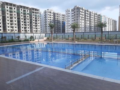 Swimming Pool Image of 1221 Sq.ft 2 BHK Apartment / Flat for sale in Provident Kenworth, Budvel Hyderabad for Rs. 10000000