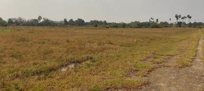 Image of 800 Sq.ft Residential Plot / Land for sale in Arakkonam, Ranipet for Rs. 320000