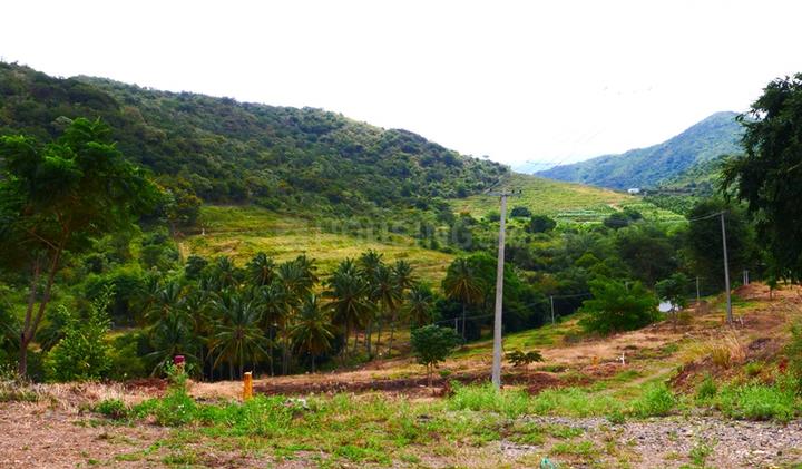 Residential 4700 Sqft Plot for sale at Anaikatti, | Property ID - 18053630