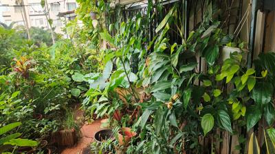 Image of 1377 Sq.ft 2 BHK Apartment / Flat for sale in Gera Astoria, Panjim, Goa for Rs. 17800000