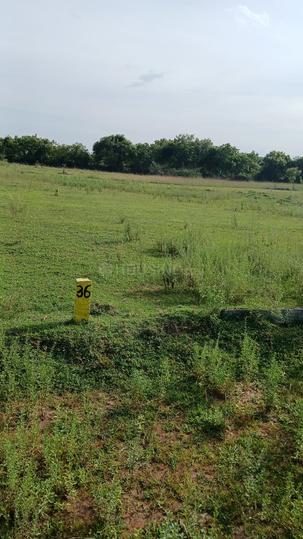 VINTAGE PLOT Main Image 1