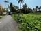 Subhasgram Main Image 1