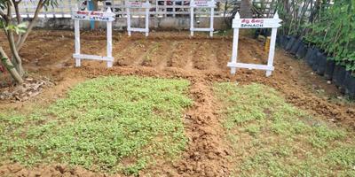 Image of 1000 Sq.ft Residential Plot / Land for sale in Chengalpattu, Chennai for Rs. 1300000